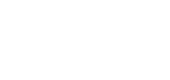 Professional Car Audio Tsuji